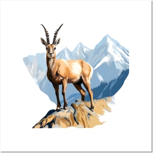 chamois Posters and Art